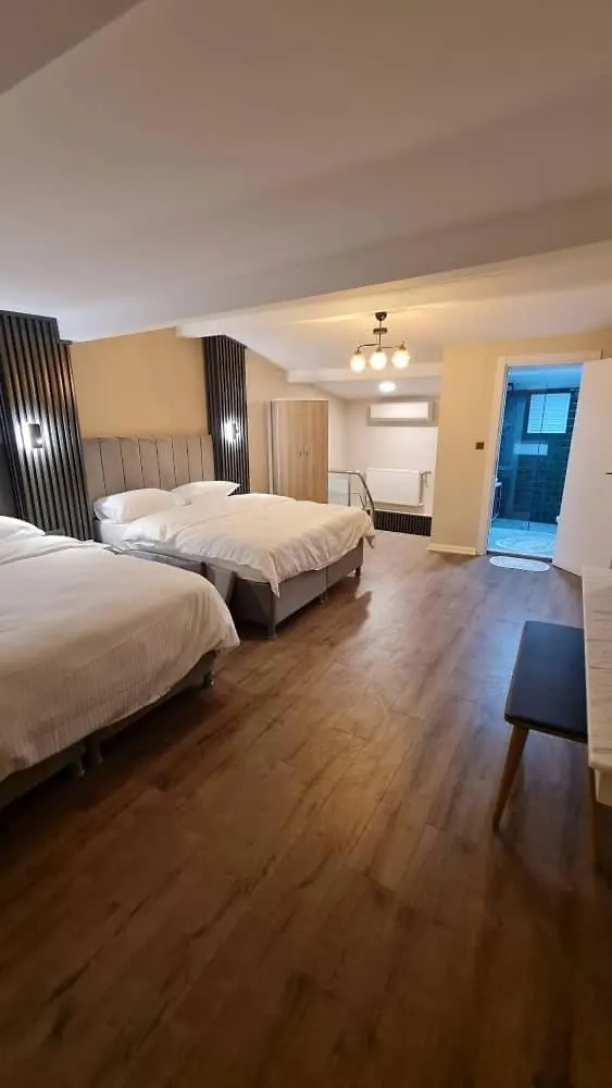 Appartement Golden Arrow Deluex Dublex à Istambul 0*,